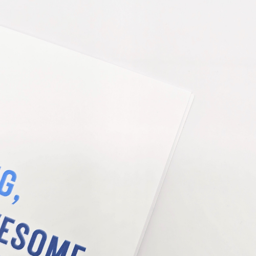 Big Mood Gratitude – 5 Funny Thank You Cards – A2 Size (Blue & White)
